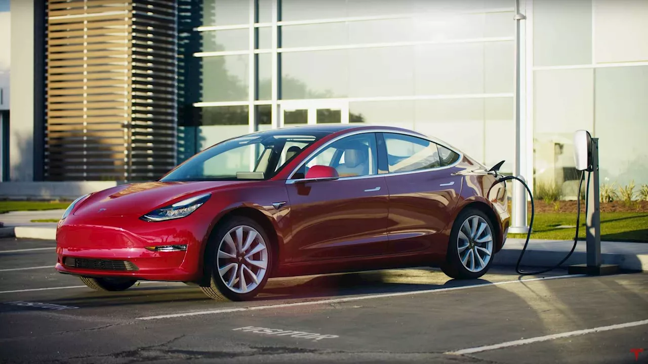 Tesla Model 3 Owners Get Candid About LFP Battery Health And Degradation