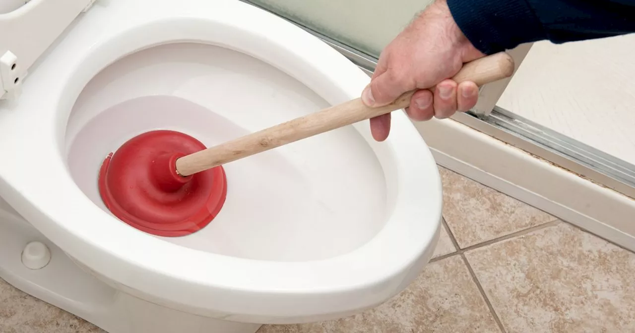 Plumbers issue advice for what they would never do in their home bathrooms