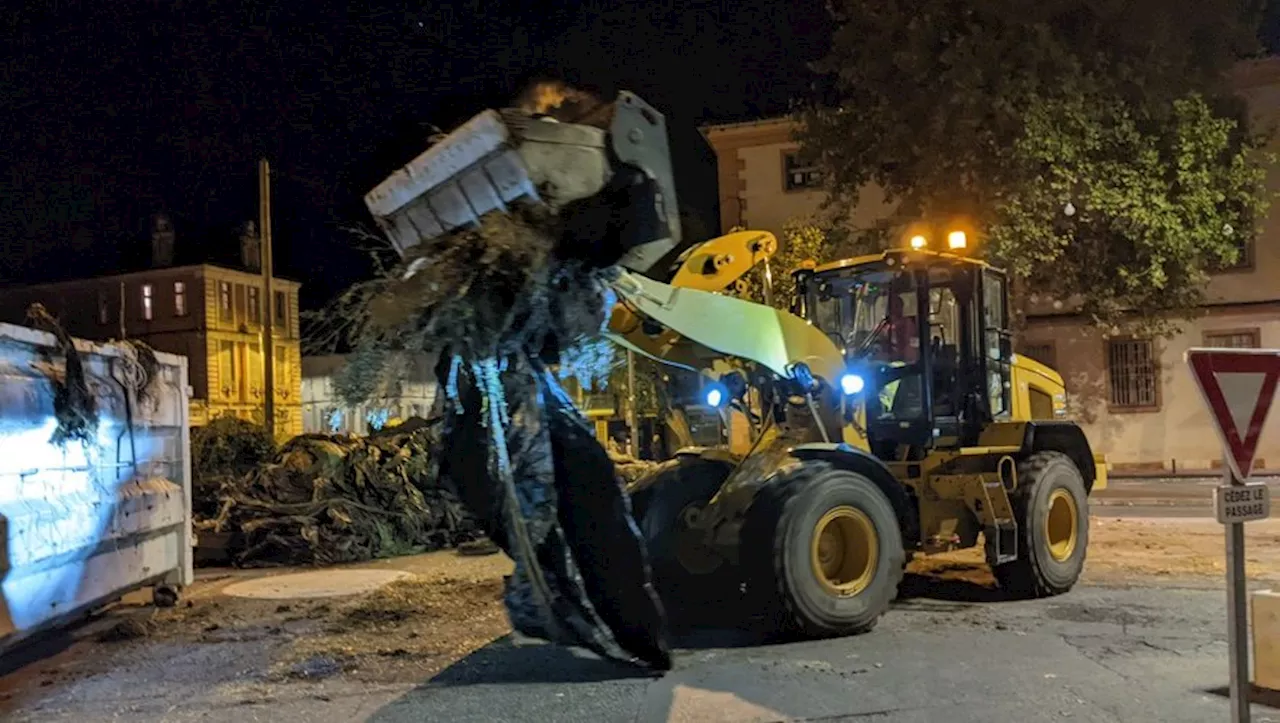 Manifestation des agriculteurs en Tarn-et-Garonne : au moins 80 000 euros de facture