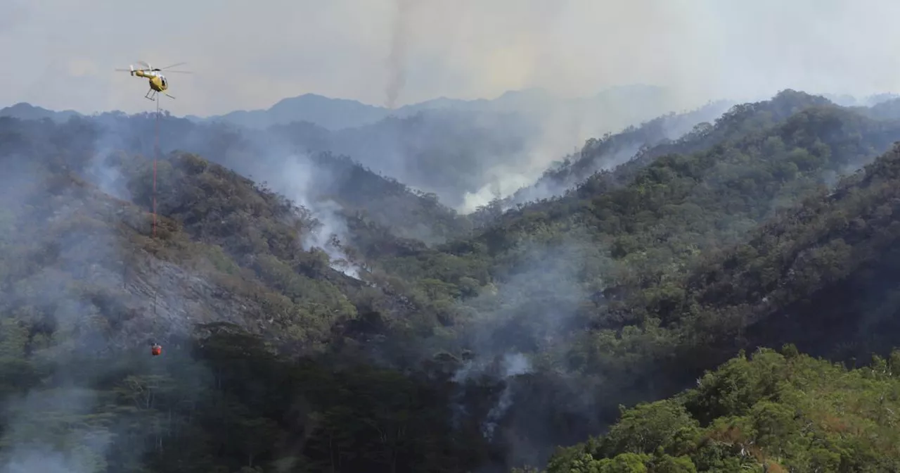 Another wildfire is burning in Hawaii. It's destroying irreplaceable rainforest on Oahu