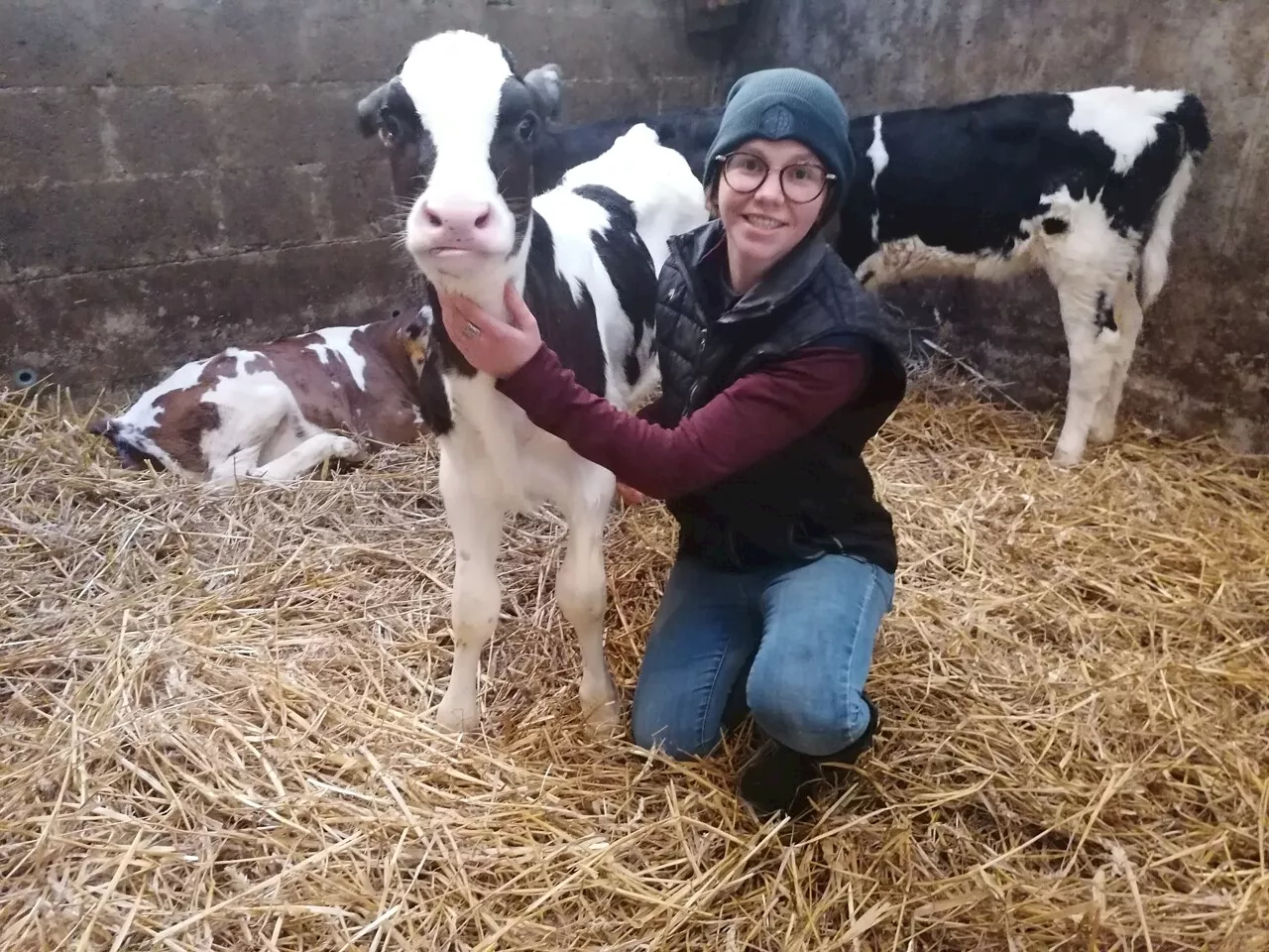 Des lapins au fromage : Mélentine a transformé la ferme familiale en Normandie