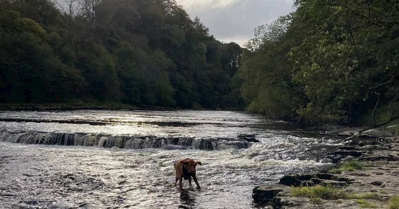 Luxurious Yorkshire lodges minutes from spectacular waterfalls in Hollywood film