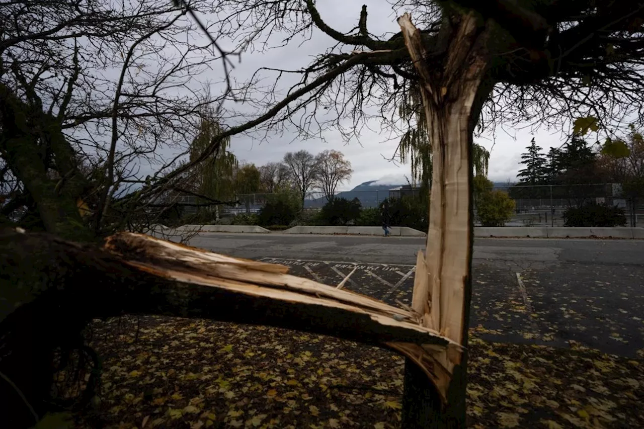 Thousands lose power in parts of B.C. after high winds, heavy rains