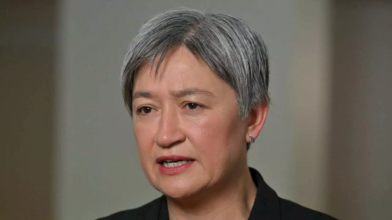 Penny Wong calls for 'steps towards a ceasefire' in Hamas- Israel war amid hospital attacks