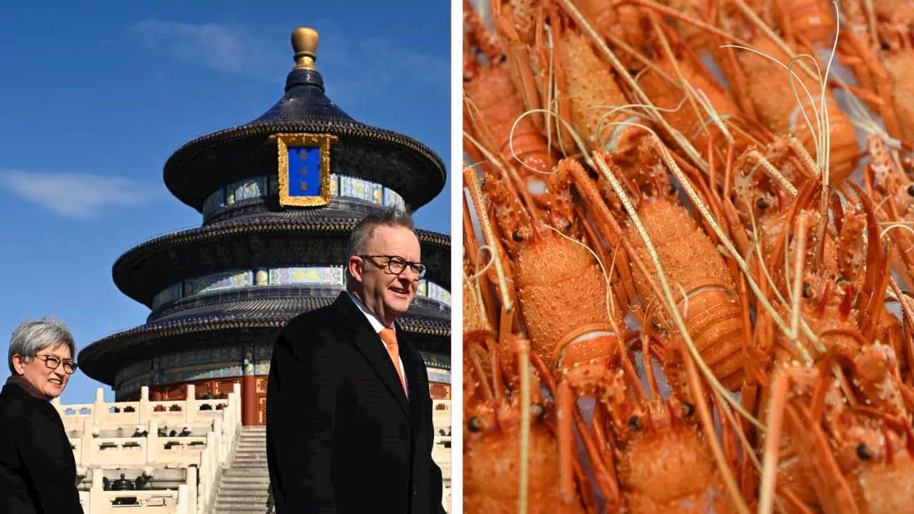 Visas, lobster exports, tourists: Who could benefit from easing Australia-China relations?