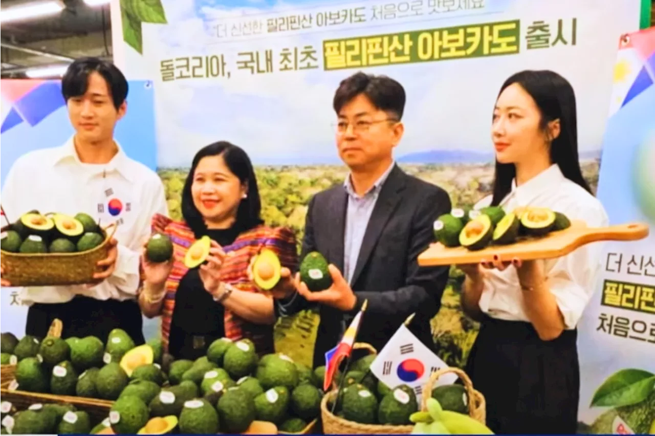 Avocado ng Pilipinas, mabibili na sa South Korea