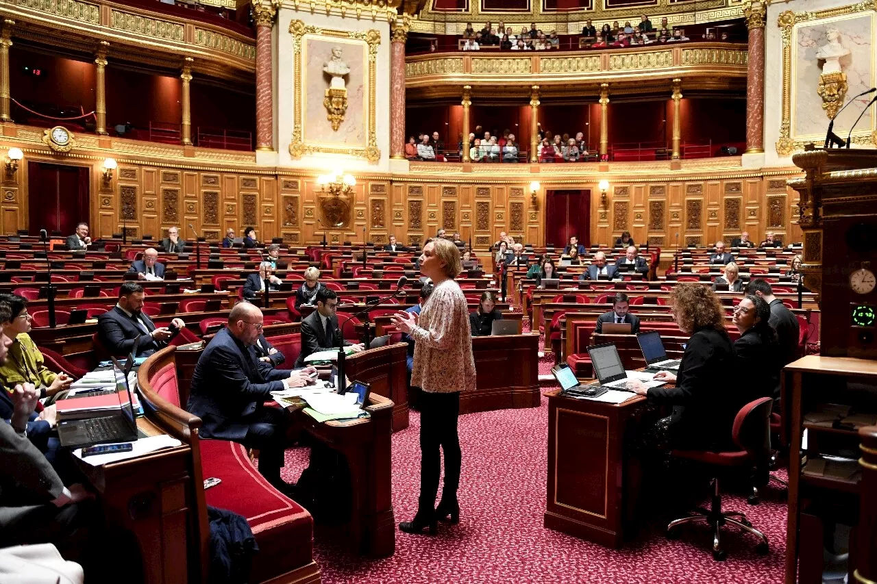 Le budget de la Sécurité sociale arrive au Sénat, qui a peu de marge de manœuvre