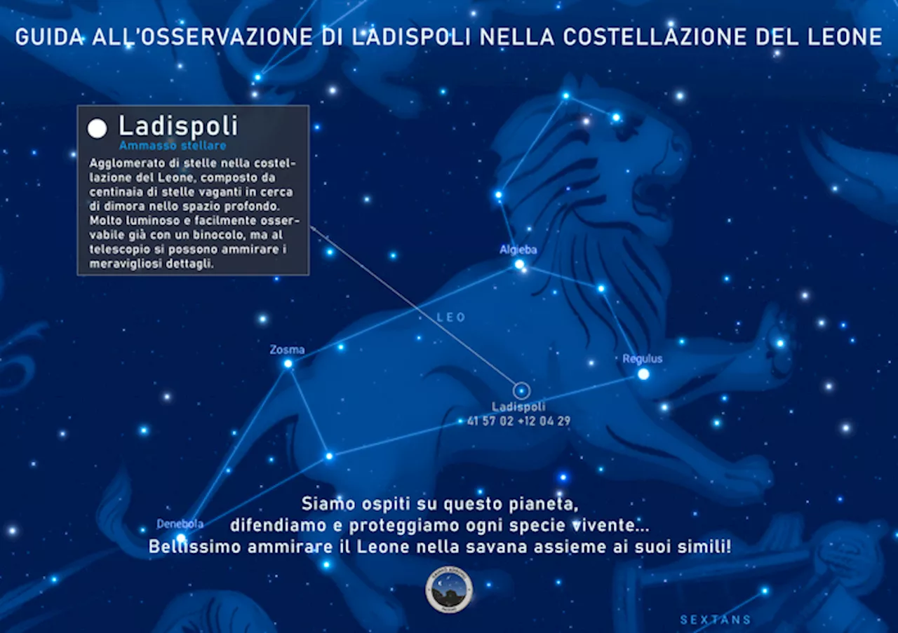 L'omaggio delle stelle al leone di Ladispoli