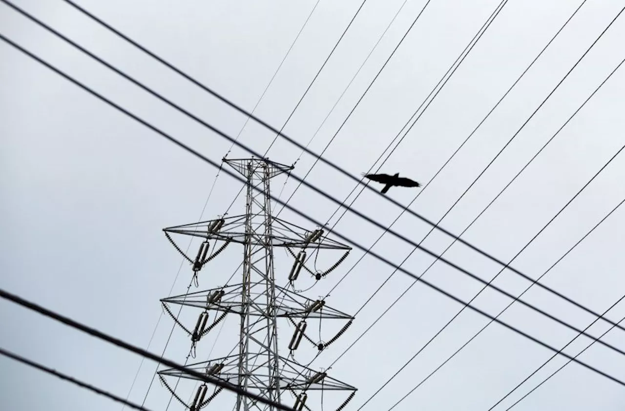 Ministério de Minas e Energia propõem redução na produção de termelétricas para baixar custos