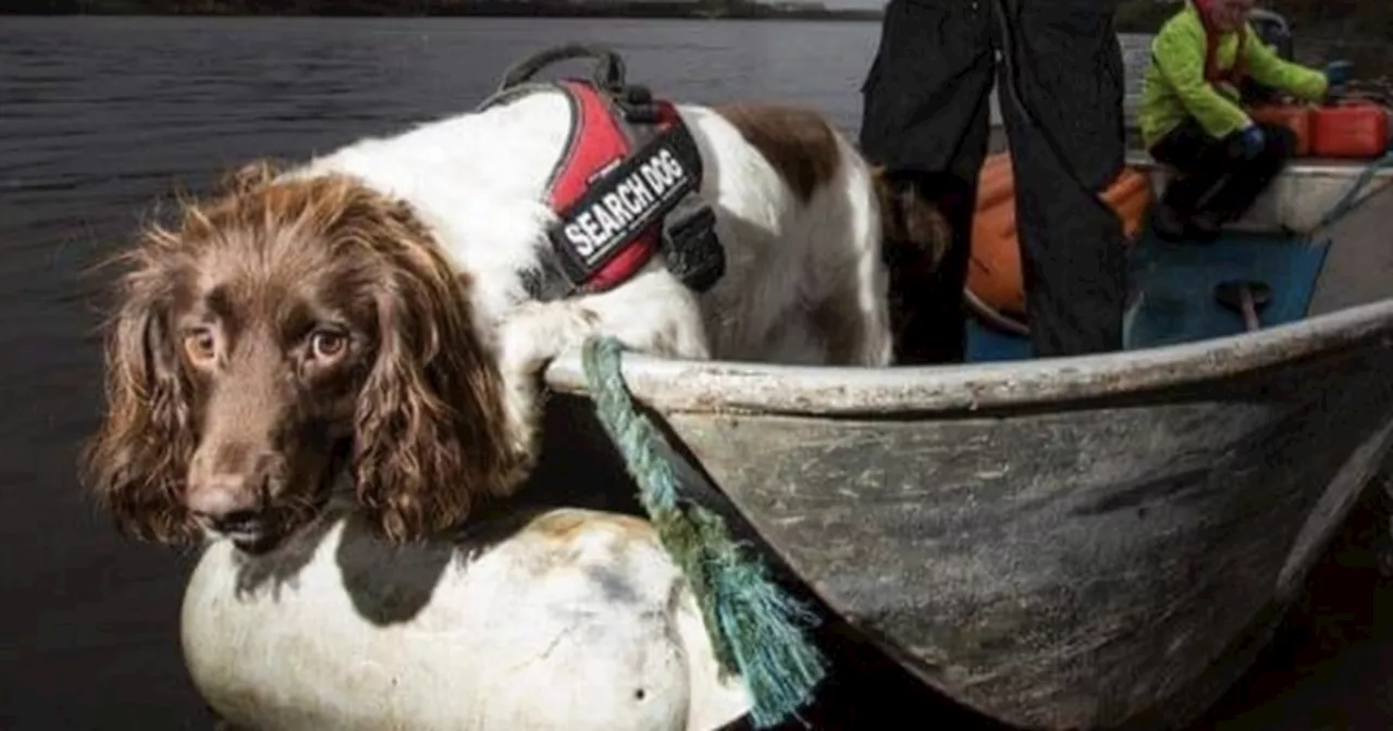 Hero Sniffer Dog Inducted into Animal Hall of Fame