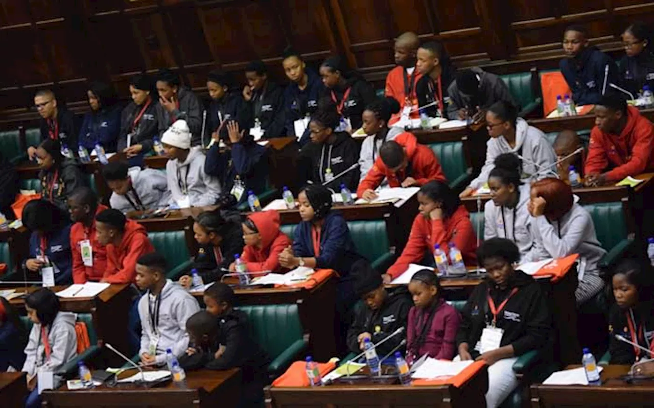 2024 elections: SA youth 'a generation let down by democracy' capable of reform