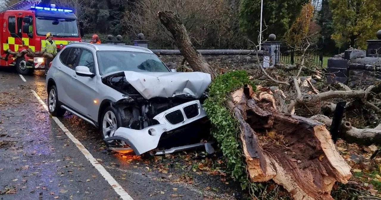 Ireland weather LIVE updates: Storm Debi leaves 100,000 without power and causes travel and school chaos