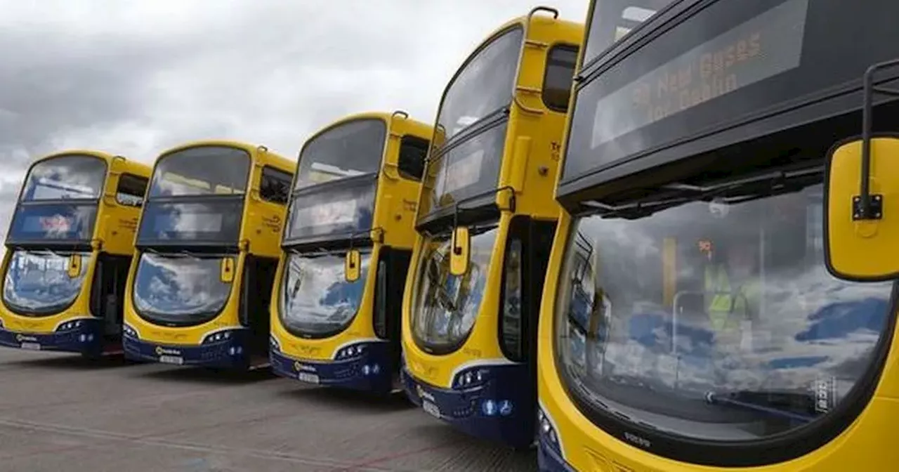 Storm Debi: 'Severe' delays to public transport with no Dublin Bus before 9am