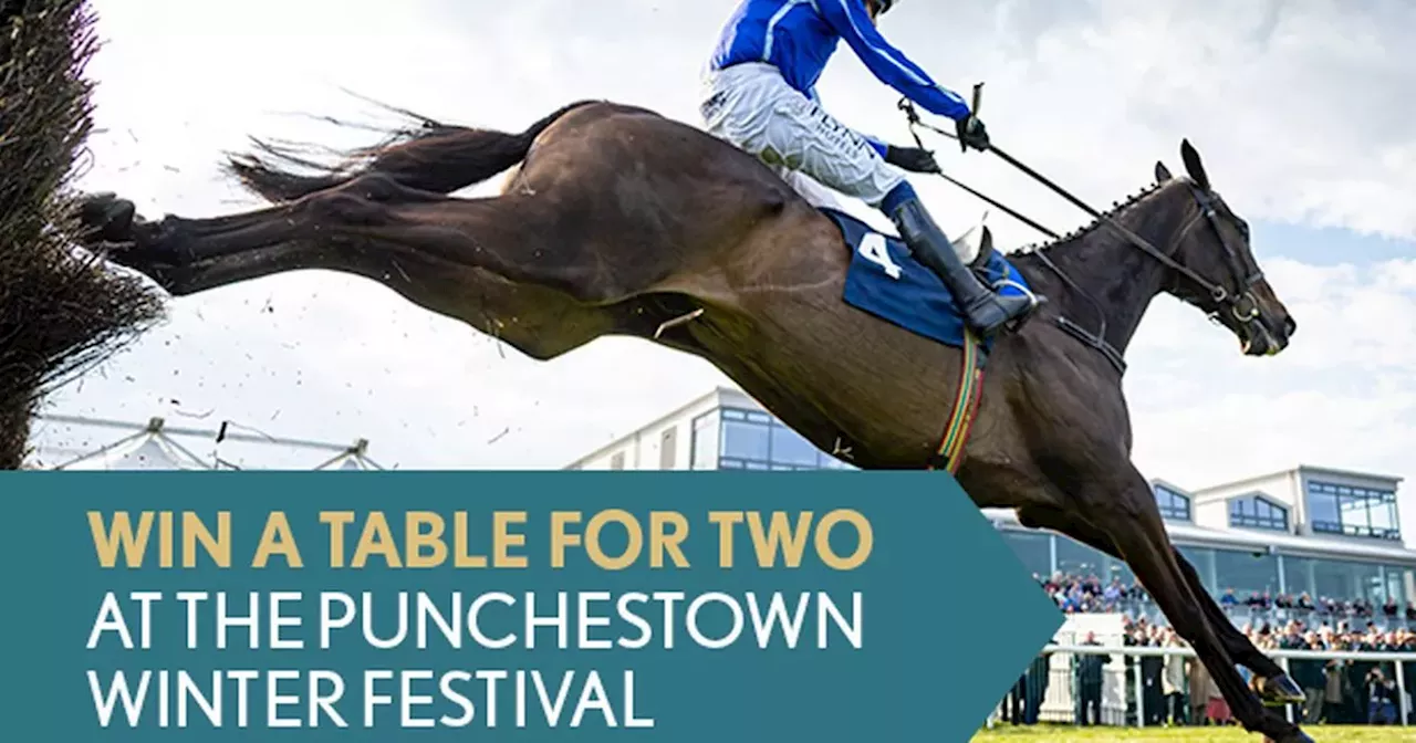 Win a table for two at Punchestown Winter Festival