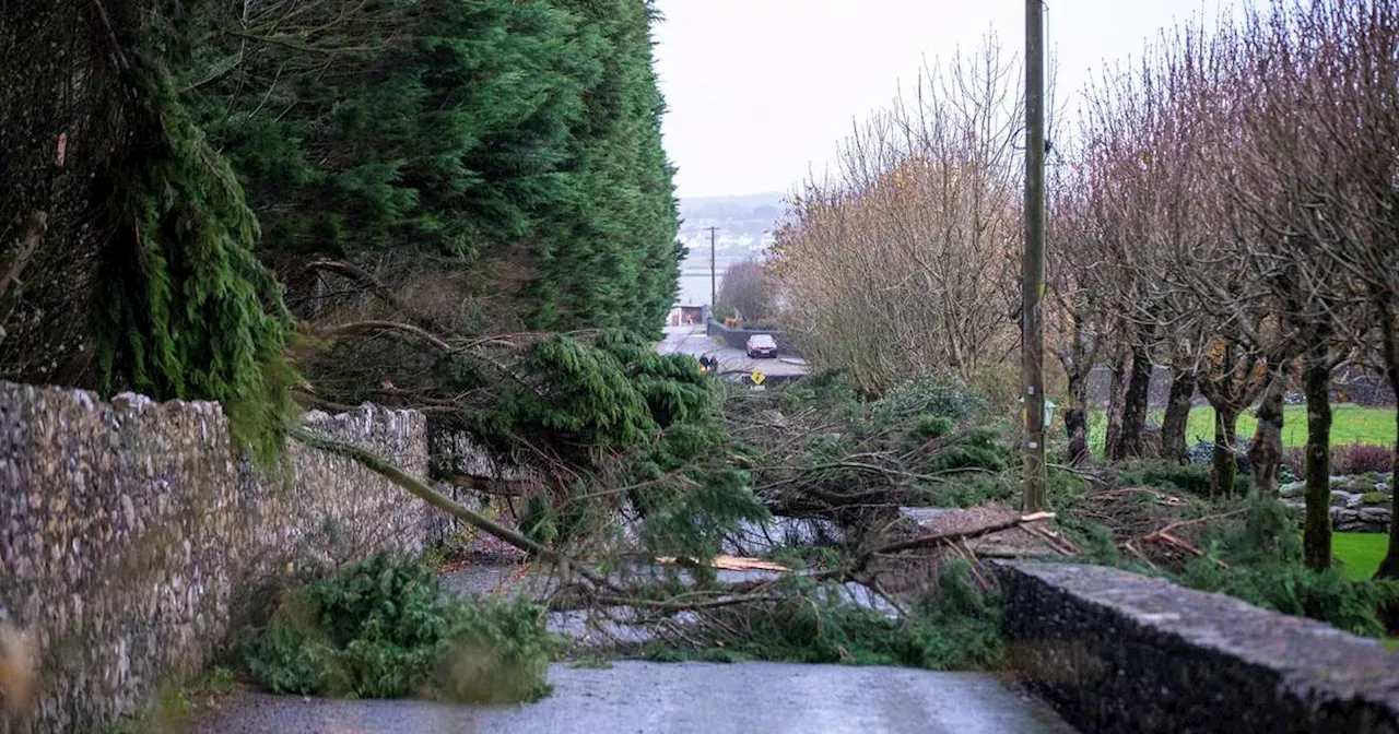 100,000 premises without power and bus and rail disrupted as storm sweeps Ireland