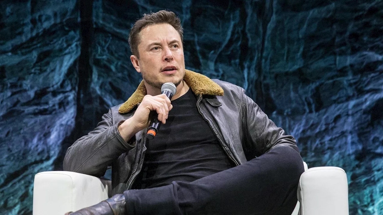 Elon Musk wird in einem Biopic verewigt