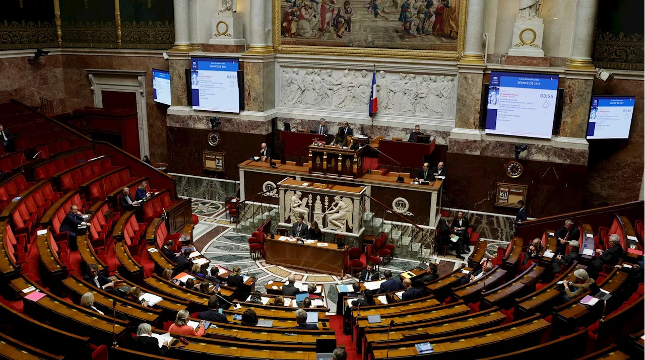 Programmation budgétaire : le gouvernement dégaine un nouveau 49.3