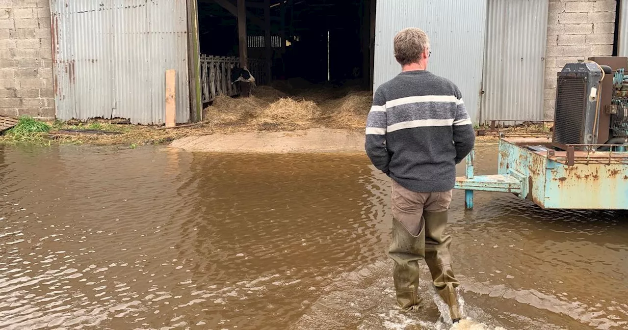 Après les inondations dans le Pas-de-Calais, les agriculteurs devant l’ampleur des dégâts