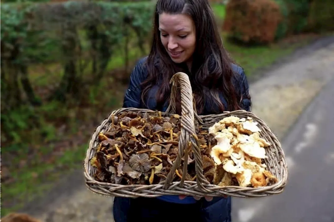 Woman's pantry filled with foraged foods