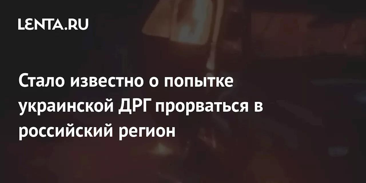 Стало известно о попытке украинской ДРГ прорваться в российский регион