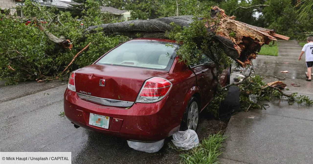 Tempêtes Ciaran et Domingos : les assureurs évaluent le coût des dommages à 1,3 milliard d'euros