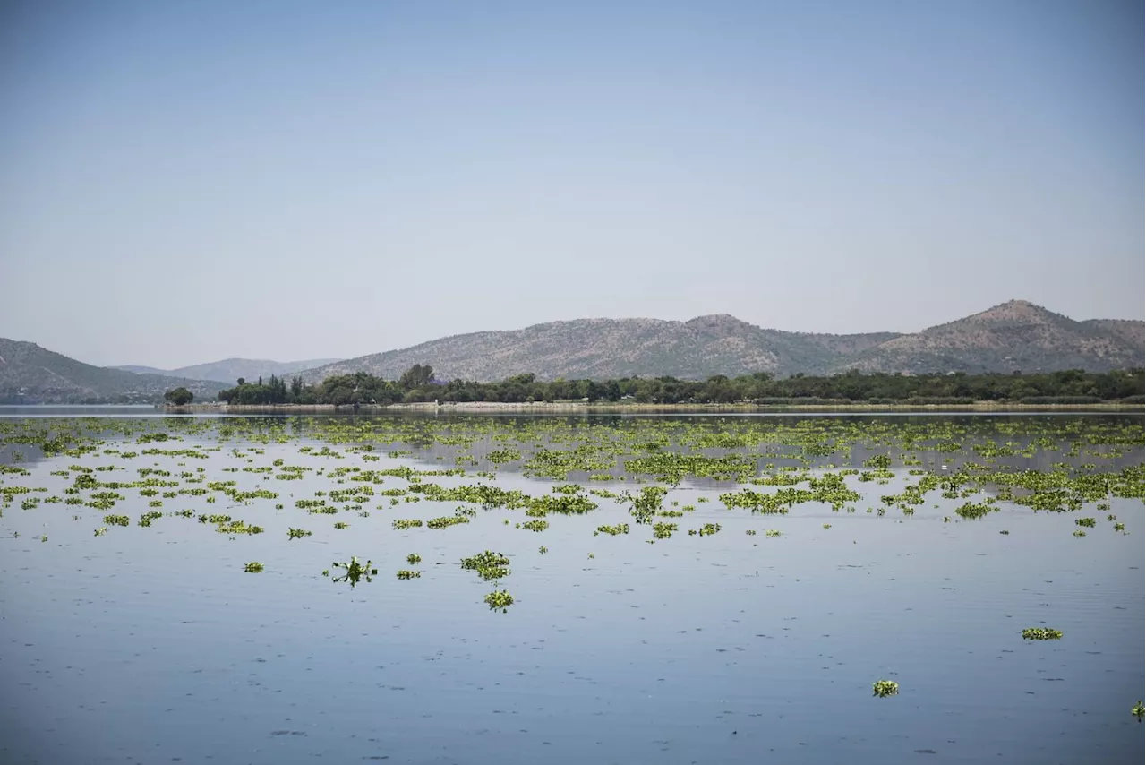 Artificial Lakes in South Africa Not Properly Managed, Says Expert