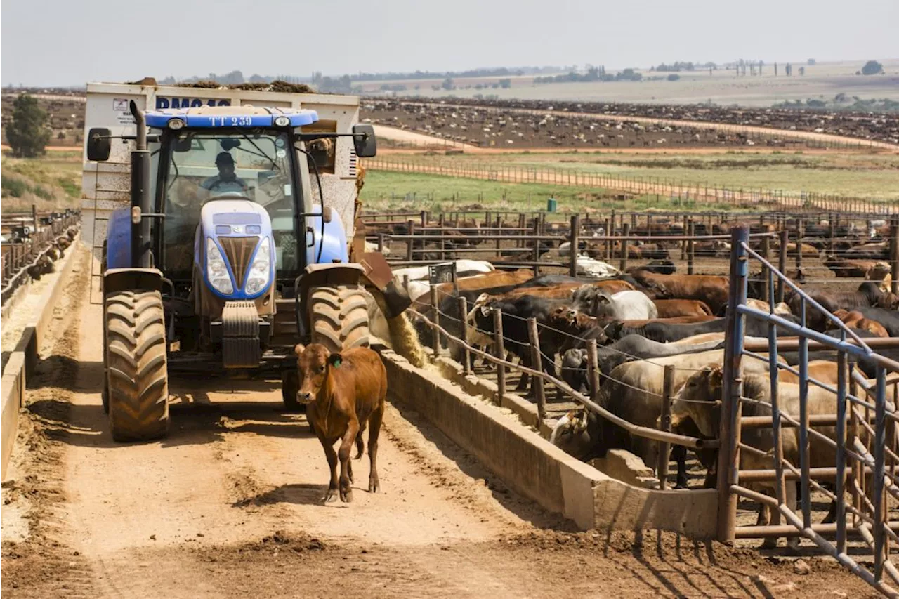 SA’s ‘too white’ farms may lose EU, UK access