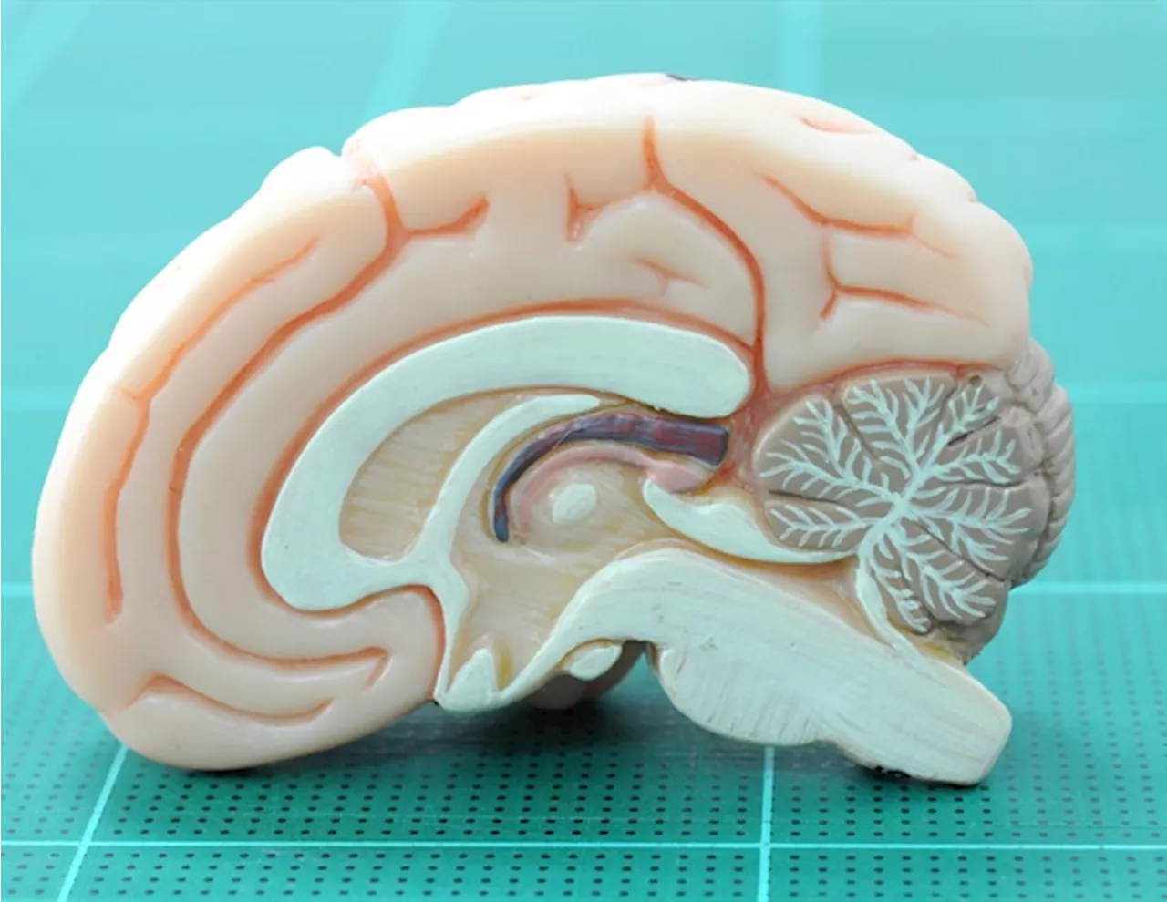 Exploring the use of psychedelics as novel treatments for psychiatric disorders