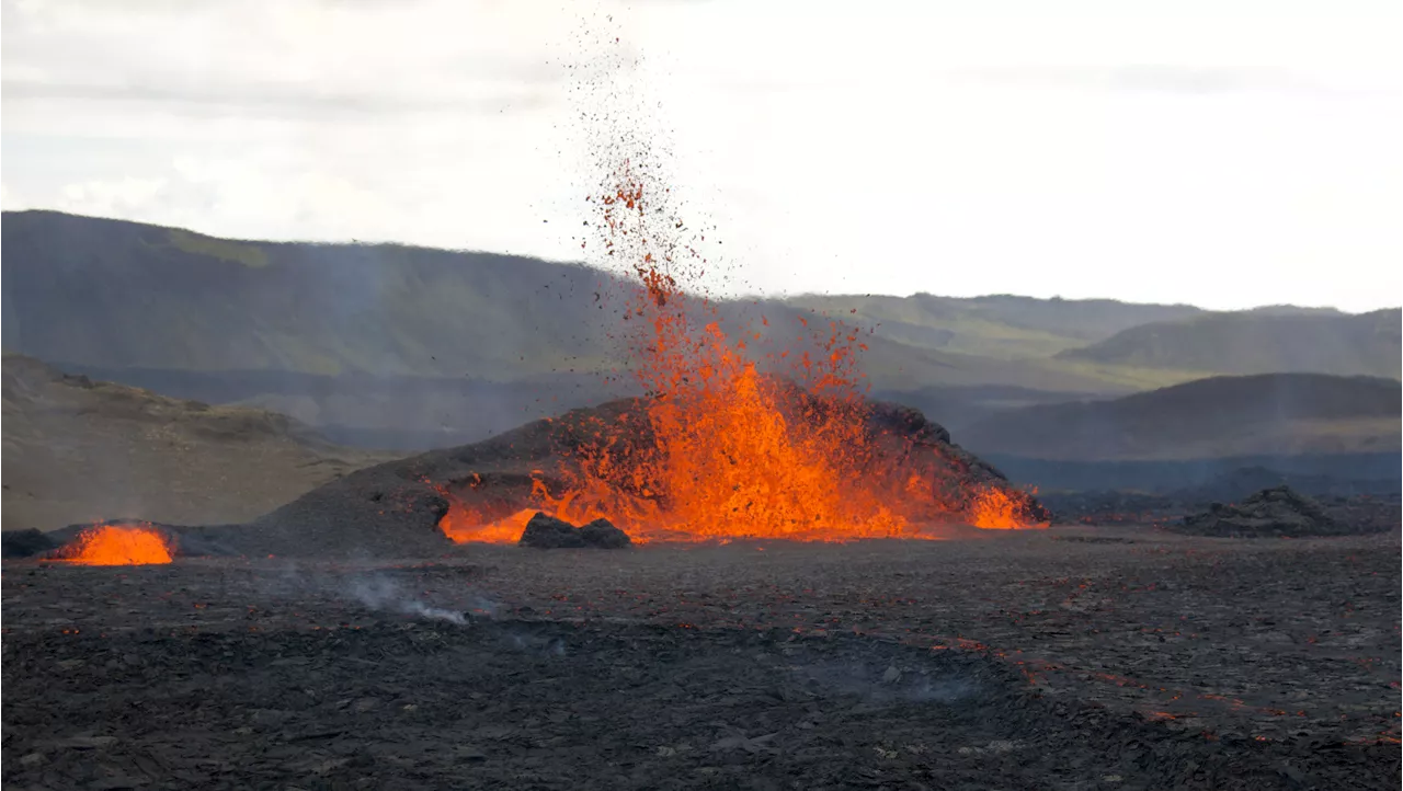 Animals Abandoned in Iceland as Volcano Eruption Fears Grow