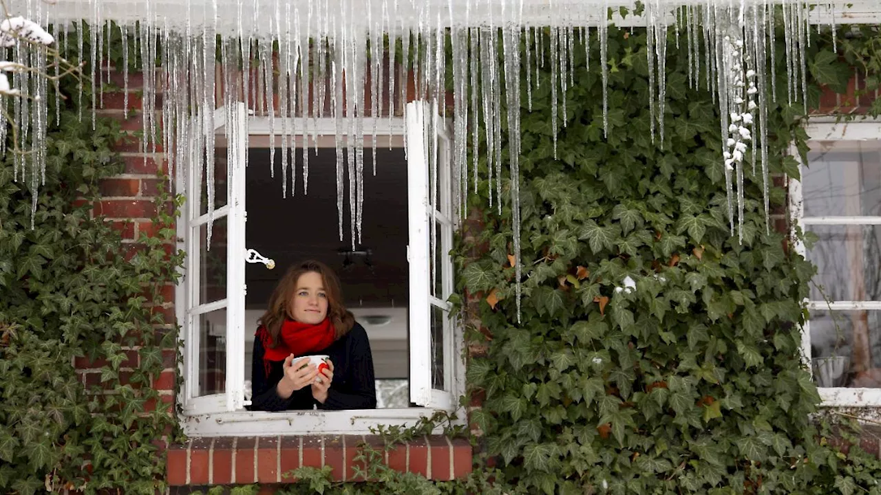 Richtiges Lüften: Die wichtigsten Regeln für frische Luft in der Wohnung