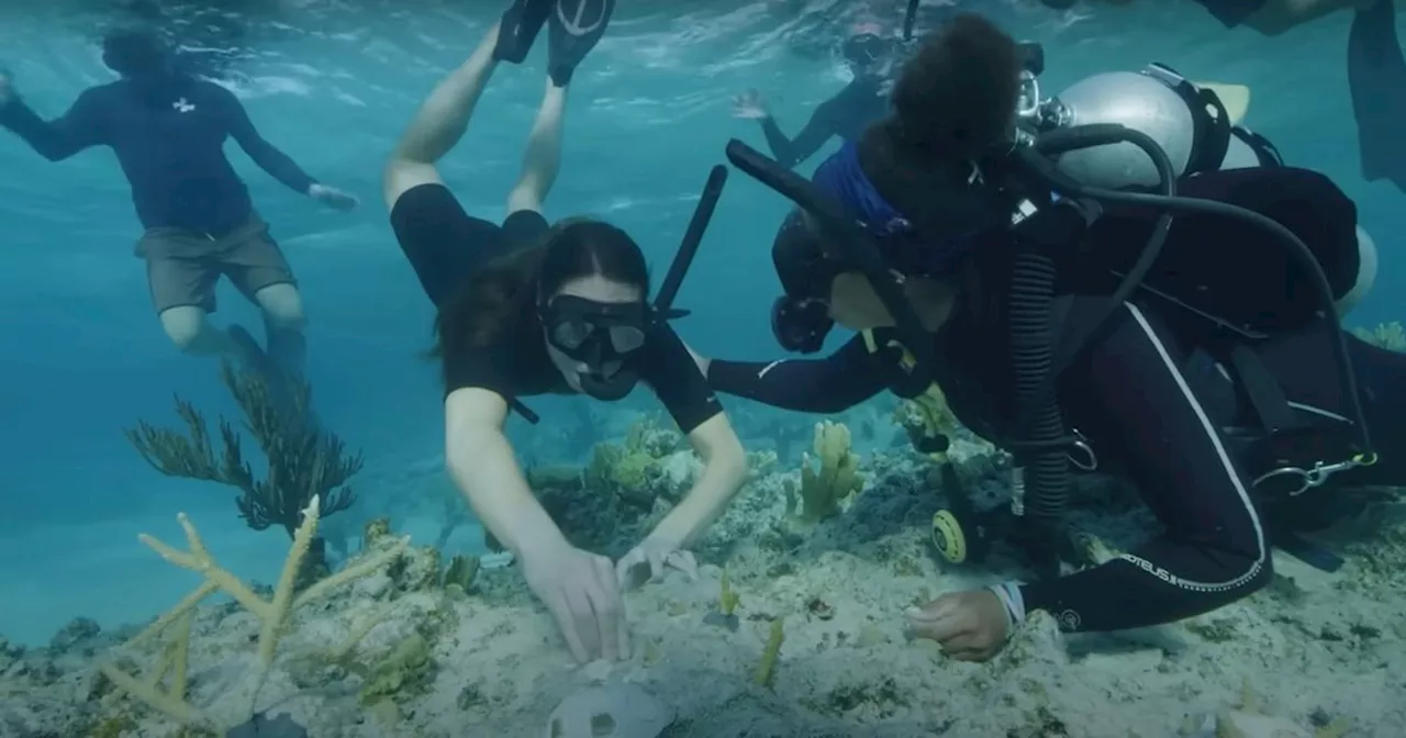 Kate and William share unseen footage from 'fascinating' scuba diving trip