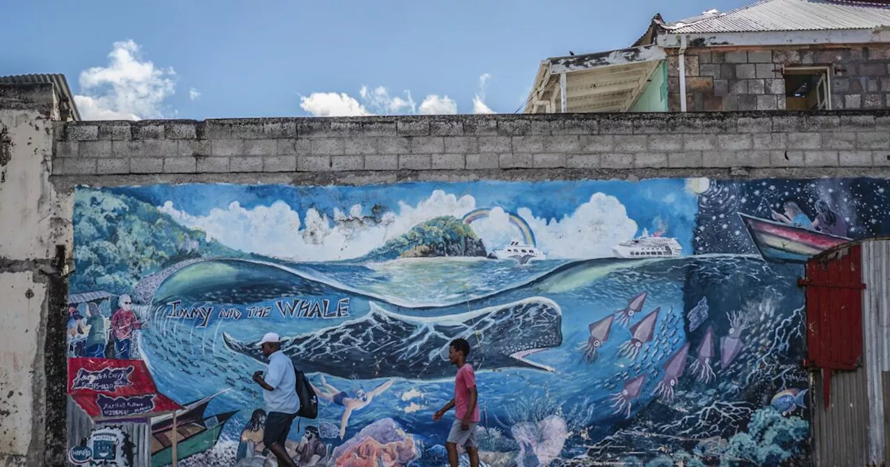 Caribbean island of Dominica creates world's first marine protected area for endangered sperm whale