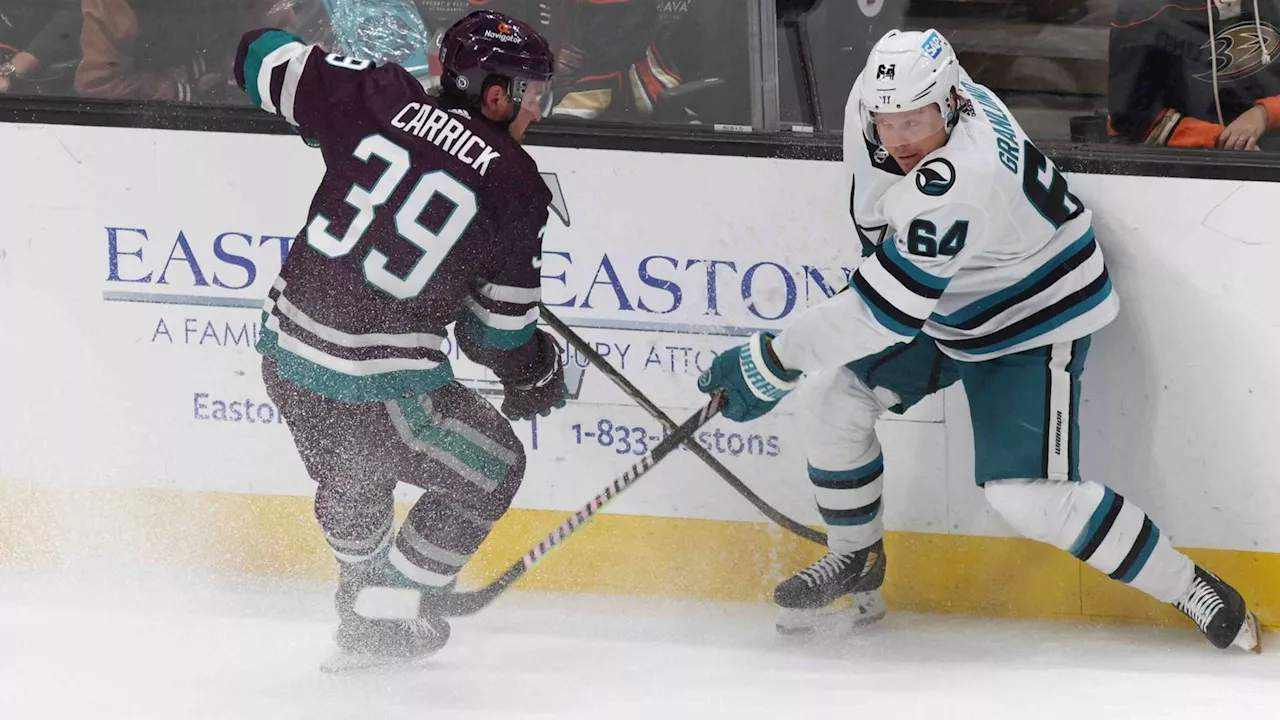 Nico Sturm und seine San Jose Sharks verlieren bei den Anaheim Ducks