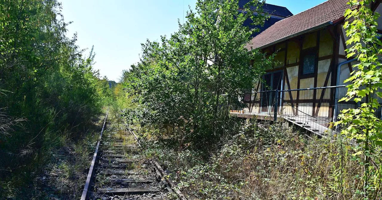 Mehr Einsatz für die Rosseltalbahn gefordert​