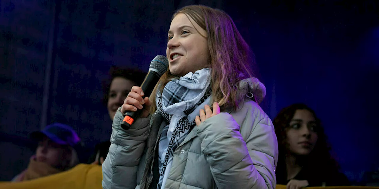 Kritik an Greta Thunberg: „Ab jetzt Israelhasserin“