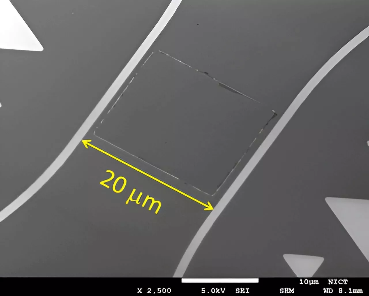 Researchers Develop World's First Superconducting Wide-Strip Photon Detector