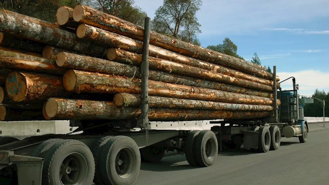 Mass Timber: A Solution for Reducing Emissions and Decarbonizing the Economy