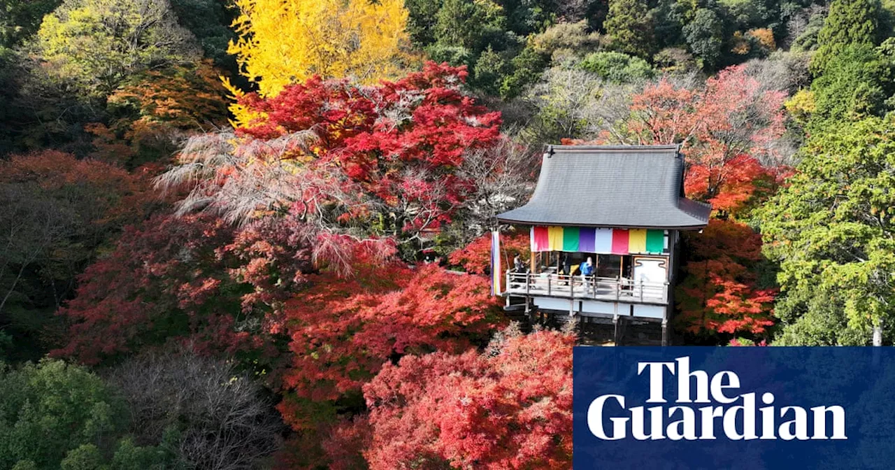 Haiku Poets in Japan Fear Existential Threat