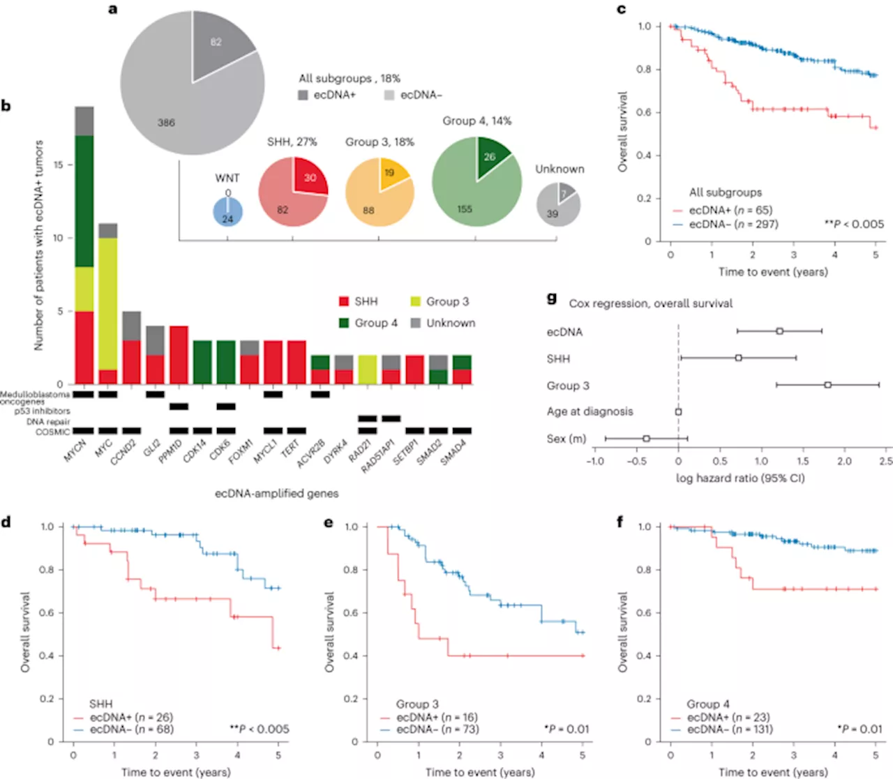 Circular extrachromosomal DNA in medulloblastoma tumors