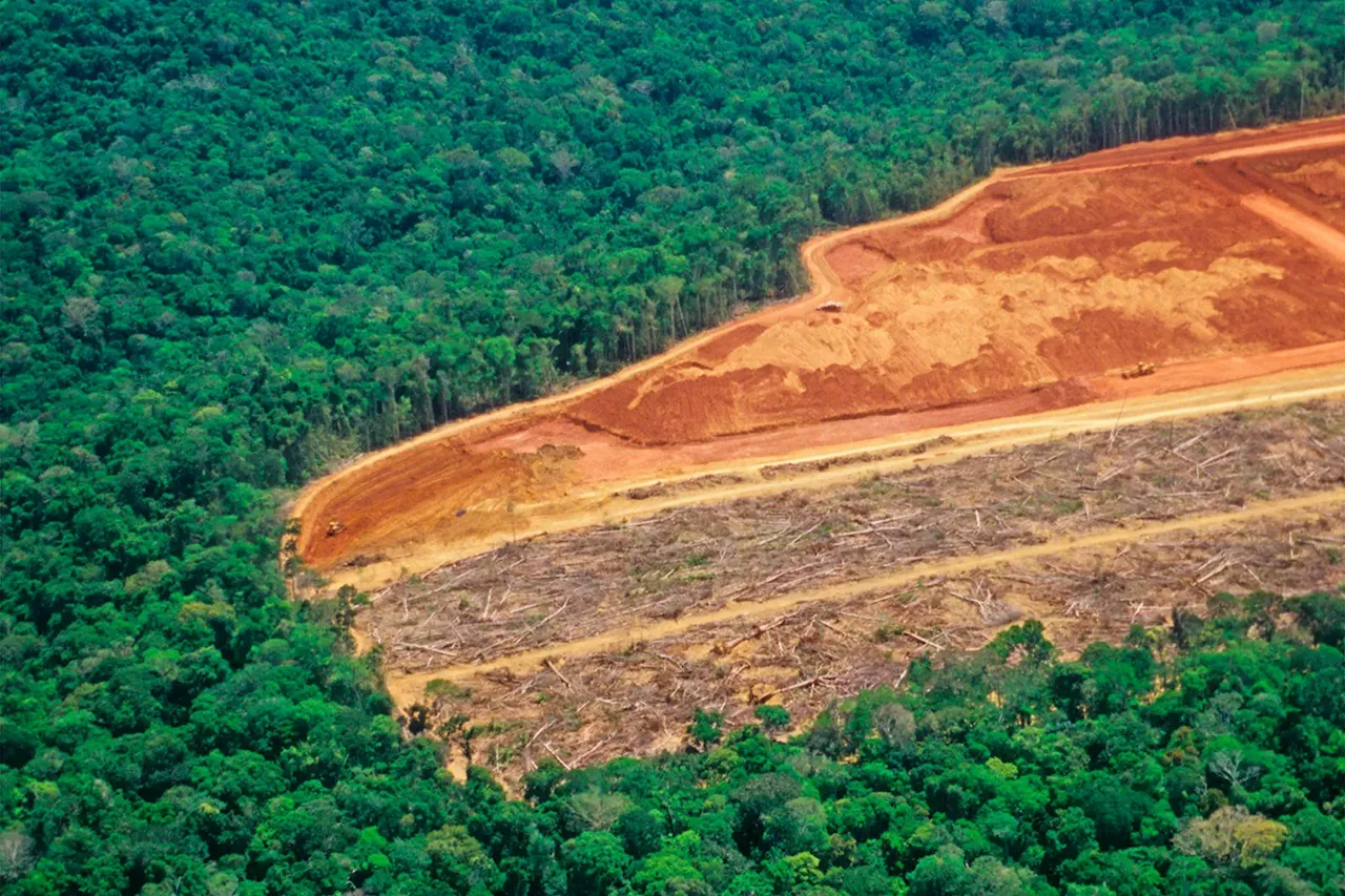 Satellites Revolutionize the Study of Deforestation and its Climate Effects