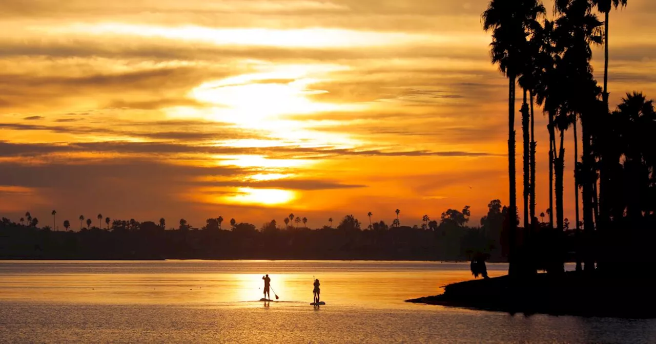 Restoring Wetland Habitats in Mission Bay: A Fly Fisher's Perspective