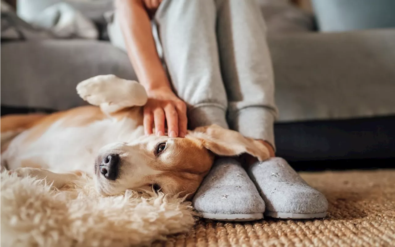 The Best Foot-Friendly Slippers You Can Buy on QVC