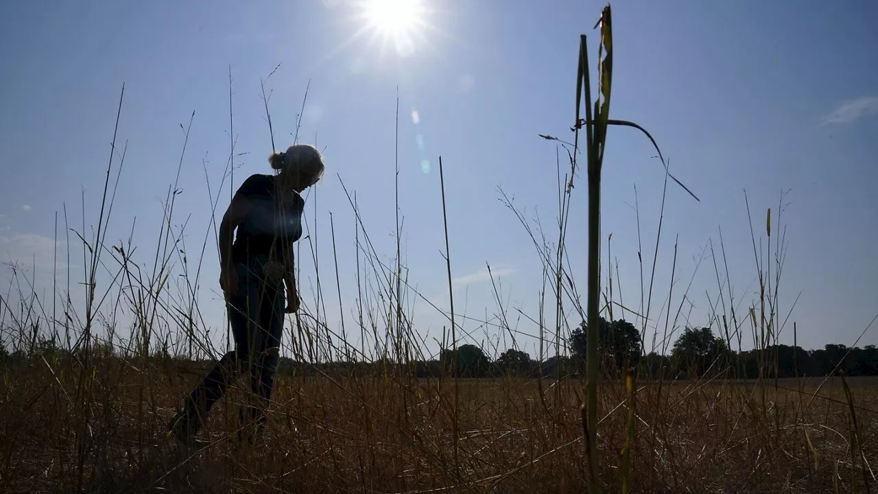 Climate Change's Impact on Americans' Daily Lives Worsening, Says Government Report