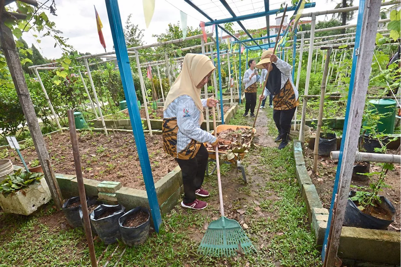 Community Gardens in Subang Jaya Serve as Learning Space and Job Training Centre