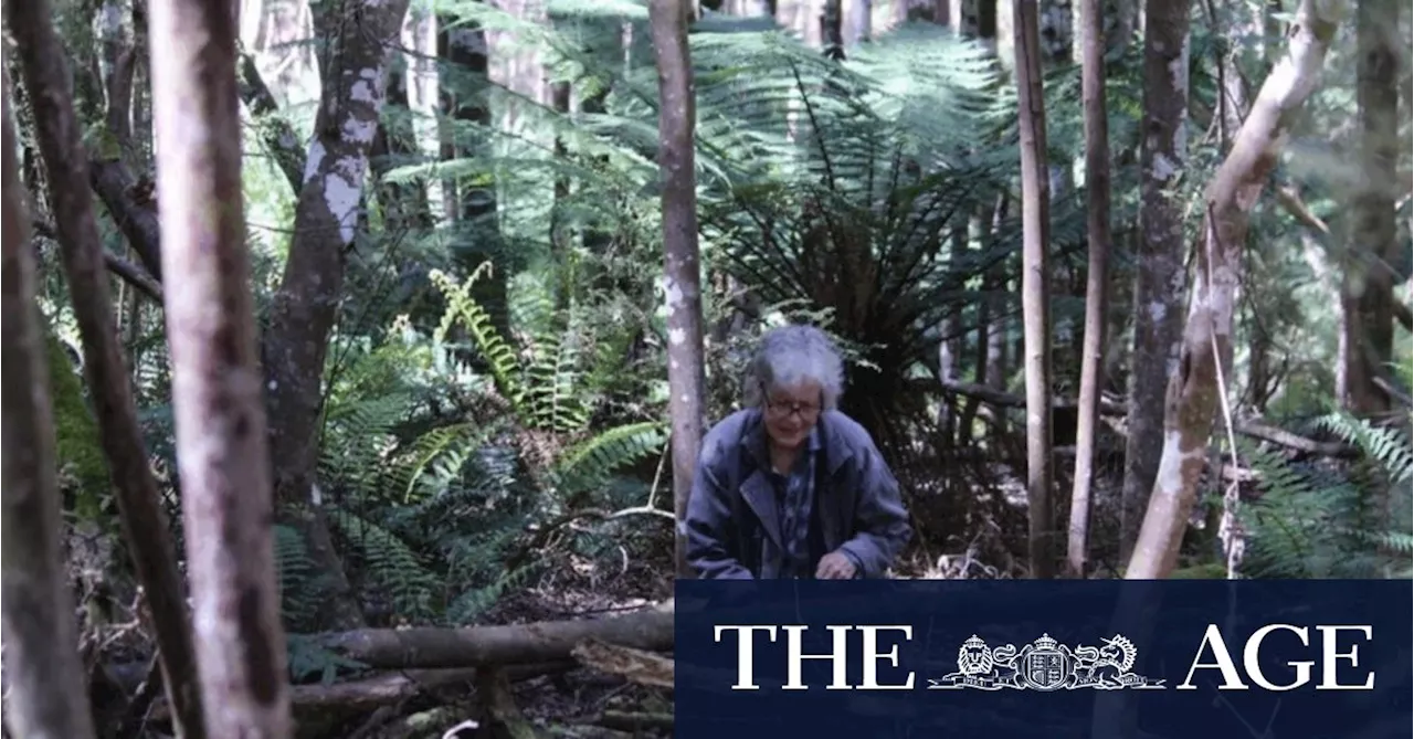 The Slime House: A Hidden Treasure in Tasmania