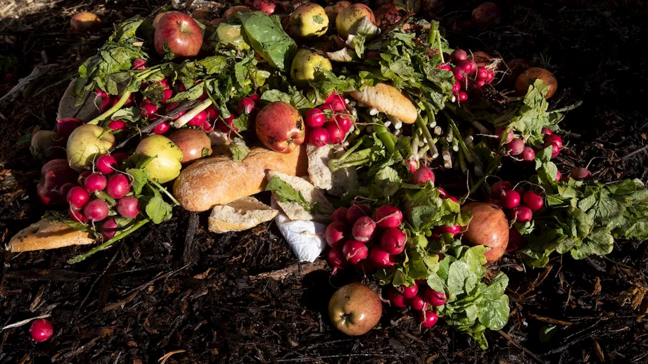 New Study Reveals U.S. States' Habits in Food Waste