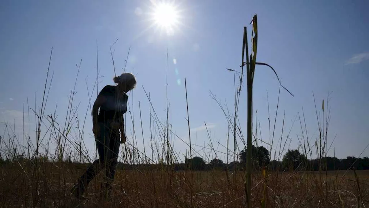 Massive new government report highlights far-reaching and worsening impacts of climate change in the US