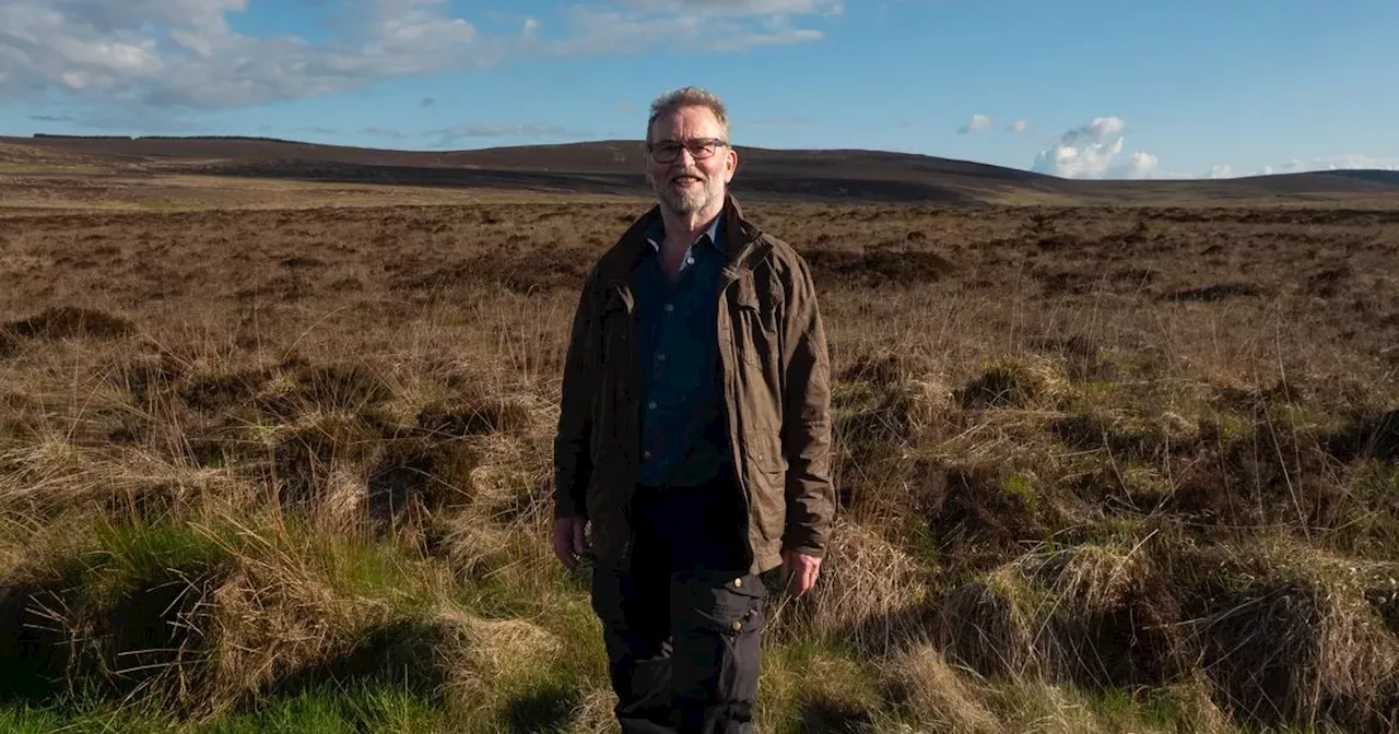 Secrets in the Peat: Exploring Ireland's Ancient Bogs