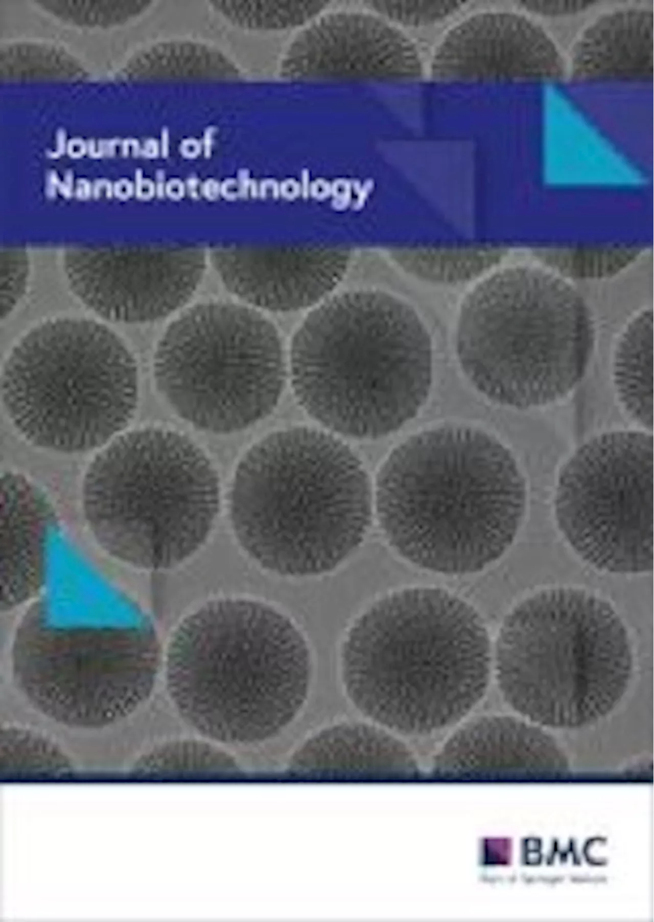 Extracellular vesicles from bovine milk show promise for oral delivery of nucleic acid therapies