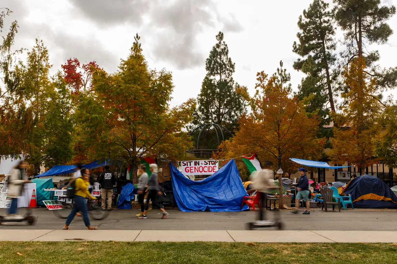 Student Protests Over Israeli-Palestinian Conflict Spark Debate on College Campuses